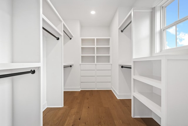 spacious closet featuring dark wood-type flooring