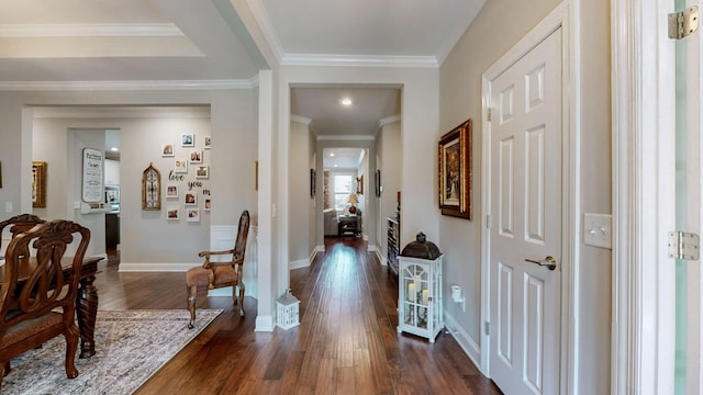 corridor with crown molding and dark hardwood / wood-style flooring