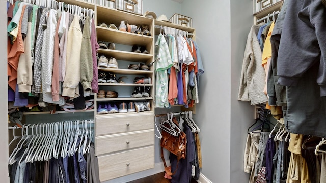 walk in closet with hardwood / wood-style flooring