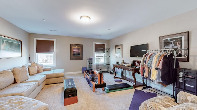 living room featuring light carpet