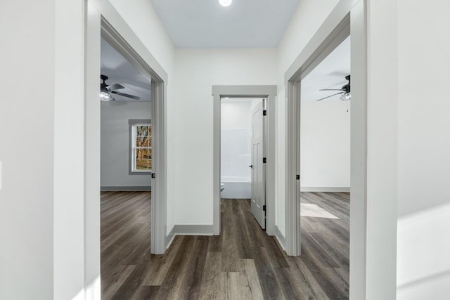 hallway featuring dark hardwood / wood-style flooring