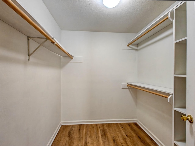 spacious closet featuring wood-type flooring