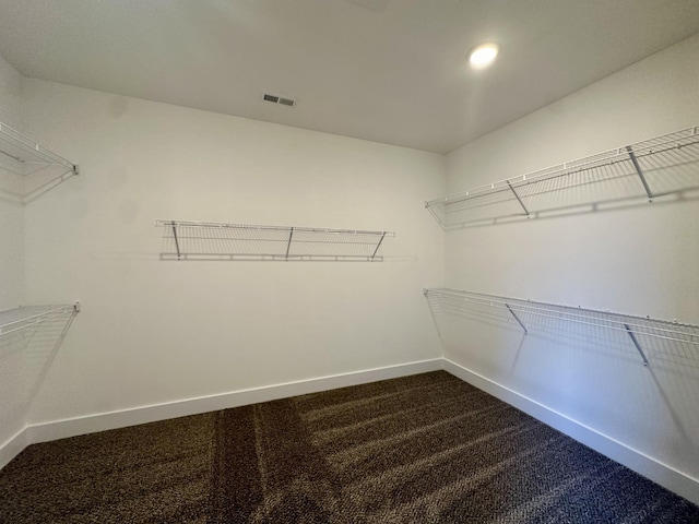 spacious closet with carpet flooring