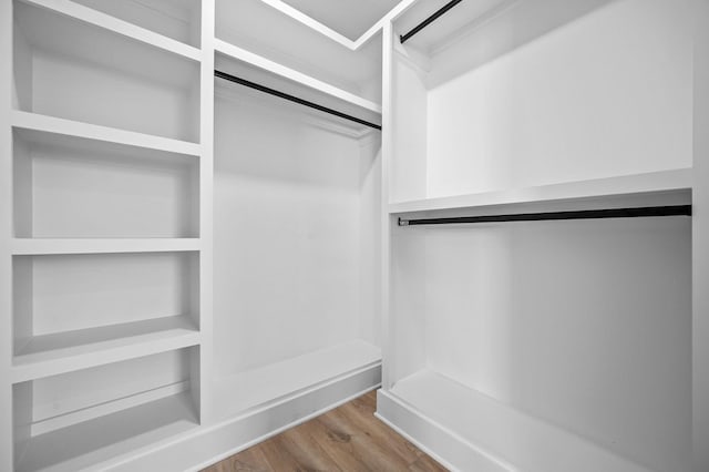 walk in closet with wood-type flooring