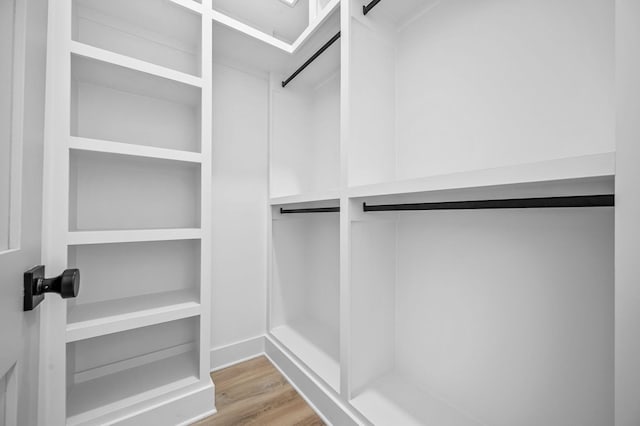 spacious closet with wood-type flooring