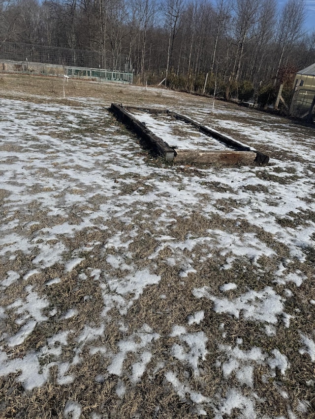 view of yard covered in snow