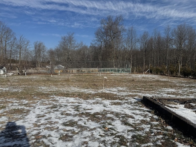 view of snowy yard