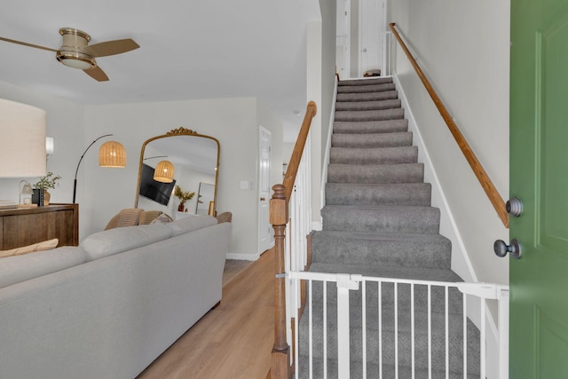 stairs with ceiling fan and hardwood / wood-style floors