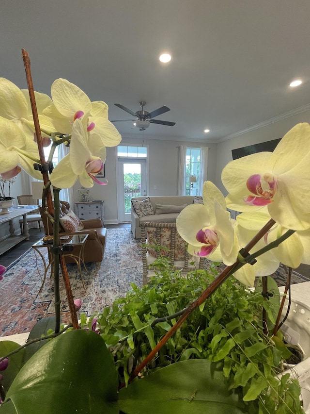 room details with ornamental molding