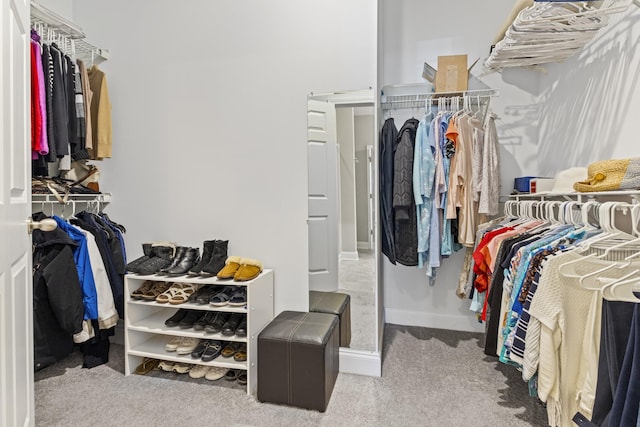 spacious closet with carpet