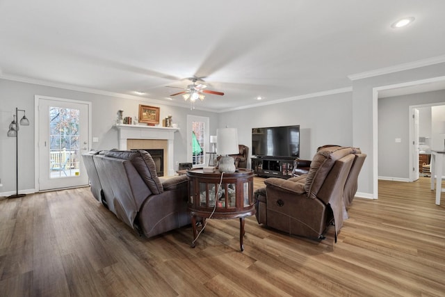 living room featuring a tiled fireplace, ornamental molding, and wood-type flooring