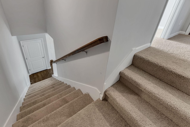 staircase featuring carpet flooring