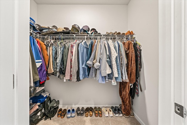 walk in closet featuring carpet flooring