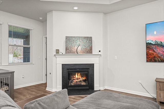 living room with wood-type flooring