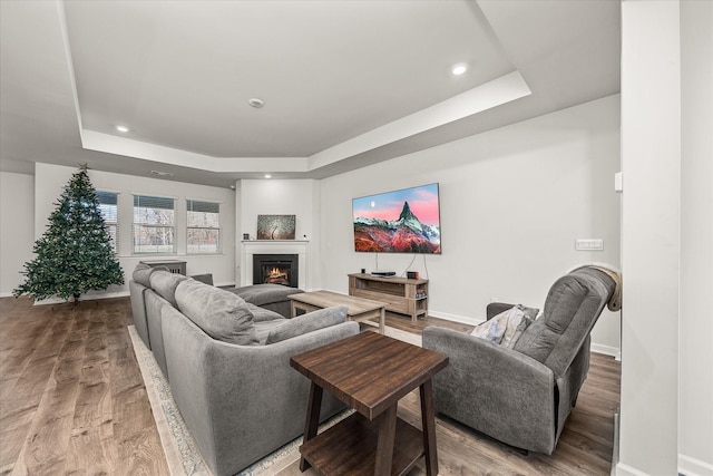 living room with hardwood / wood-style floors and a raised ceiling