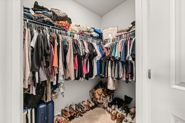 walk in closet featuring carpet floors