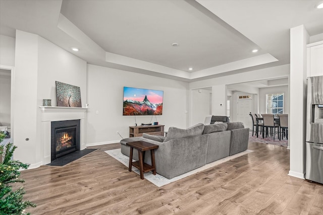 living room with light hardwood / wood-style floors and a raised ceiling