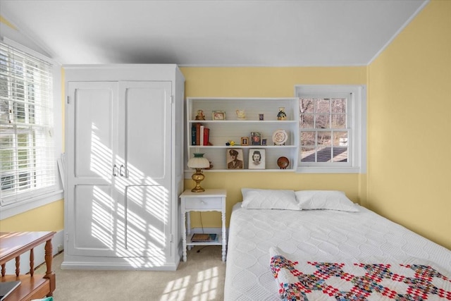 carpeted bedroom featuring multiple windows