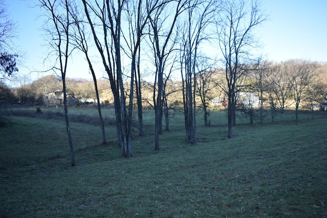 view of yard featuring a rural view