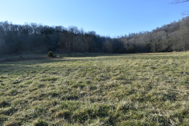 view of yard with a rural view