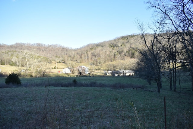 view of yard with a rural view