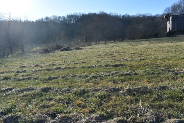 view of yard with a rural view