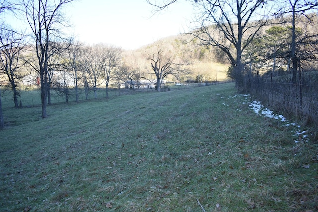 view of yard with a rural view