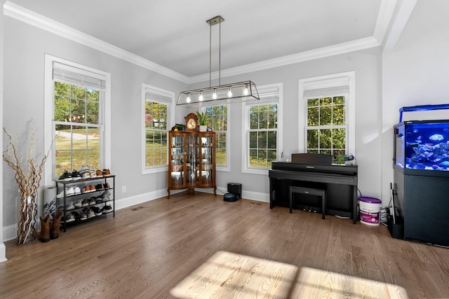 interior space featuring wood-type flooring and ornamental molding