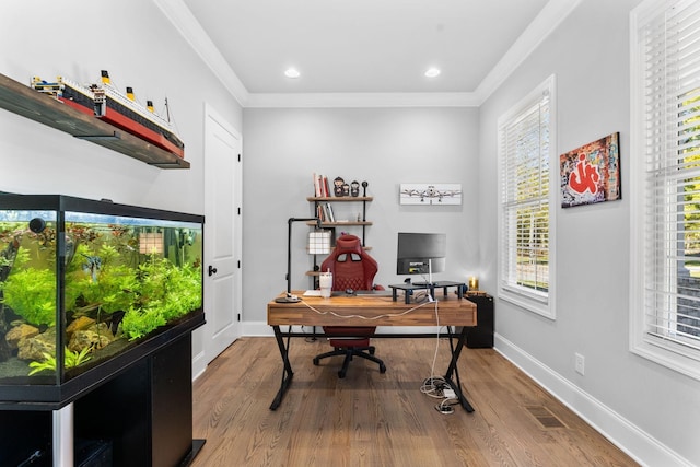 office featuring wood-type flooring and crown molding