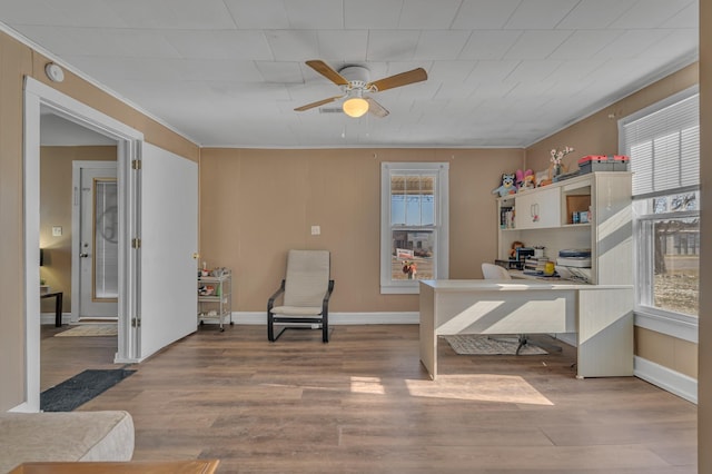 office space featuring ceiling fan, wood-type flooring, and a healthy amount of sunlight