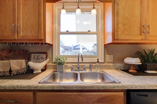 kitchen featuring stainless steel dishwasher, sink, and a wealth of natural light