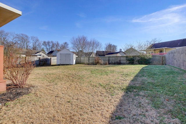 view of yard featuring a shed