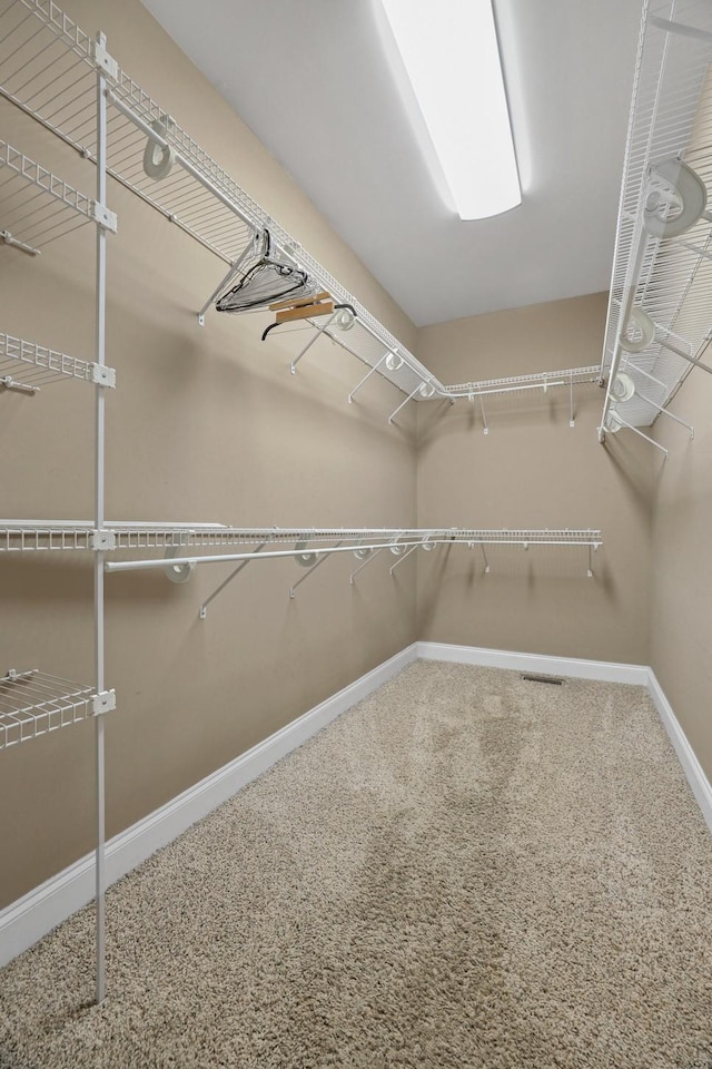 spacious closet with carpet