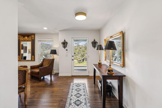 foyer featuring plenty of natural light and dark hardwood / wood-style flooring