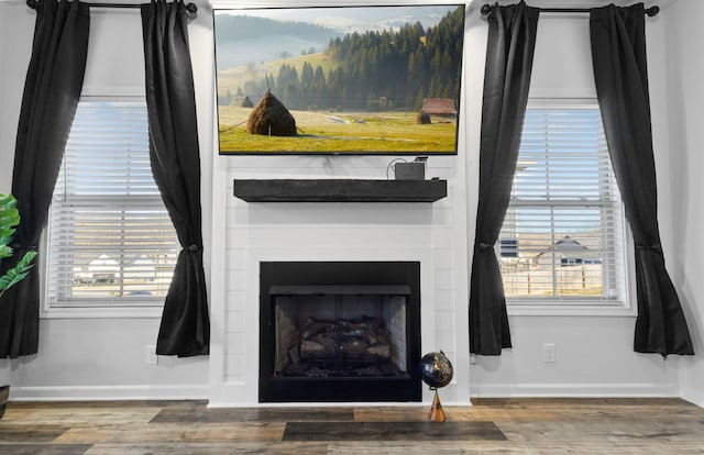 interior details featuring hardwood / wood-style flooring