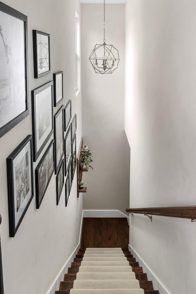 staircase with hardwood / wood-style flooring