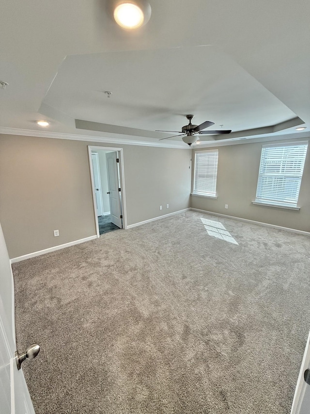 spare room featuring ornamental molding, carpet floors, ceiling fan, and a raised ceiling