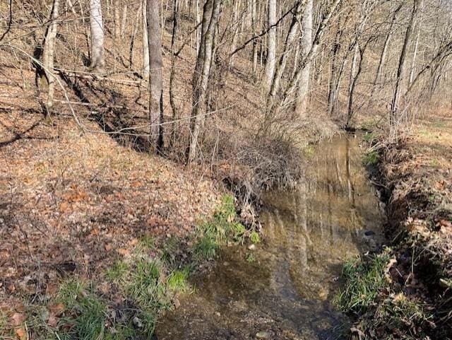 Listing photo 2 for 0 Austin Hollow Rd, Pleasant Shade TN 37145