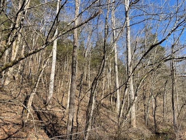 Listing photo 3 for 0 Austin Hollow Rd, Pleasant Shade TN 37145