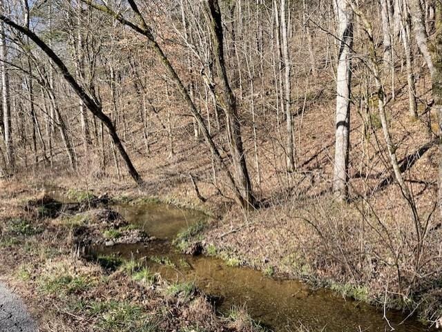 0 Austin Hollow Rd, Pleasant Shade TN, 37145 land for sale