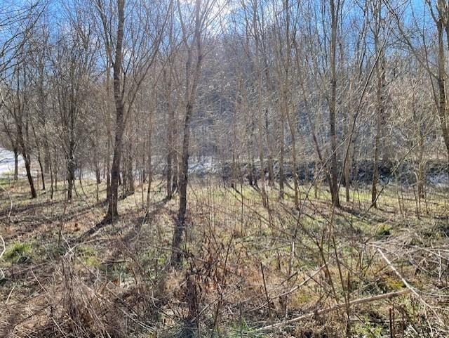 0 Austin Hollow Rd, Pleasant Shade TN, 37145 land for sale