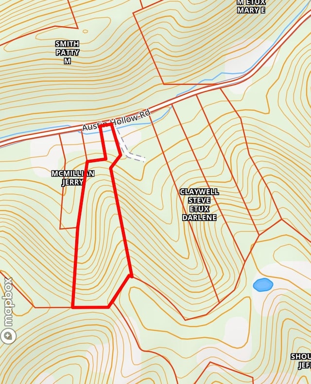 Listing photo 3 for 0 Austin Hollow Rd, Pleasant Shade TN 37145