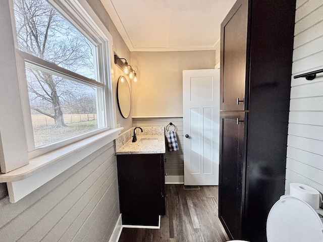 bathroom featuring hardwood / wood-style flooring, vanity, and toilet