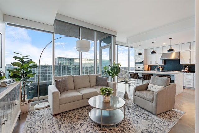 living room featuring sink, light parquet floors, and expansive windows