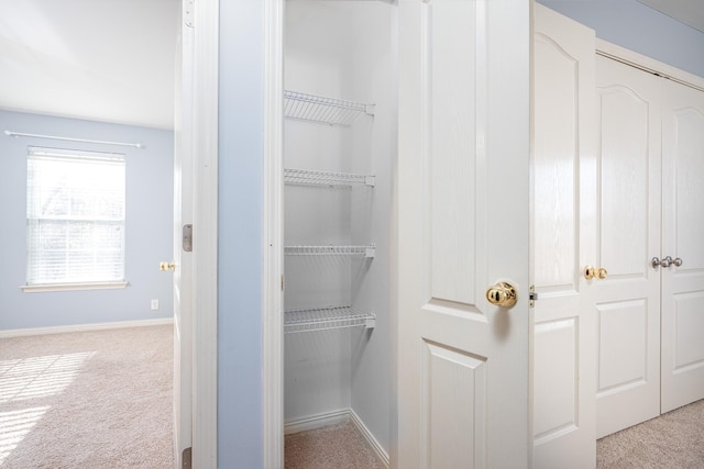 view of closet