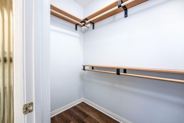 walk in closet featuring dark wood-type flooring