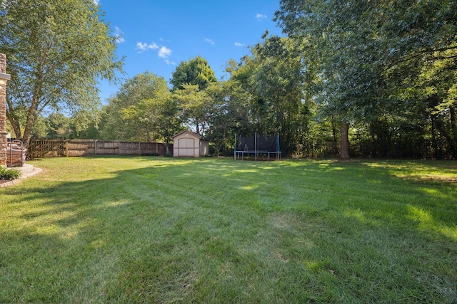 view of yard featuring a storage shed and a trampoline