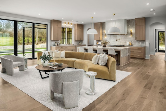 living room featuring light hardwood / wood-style floors