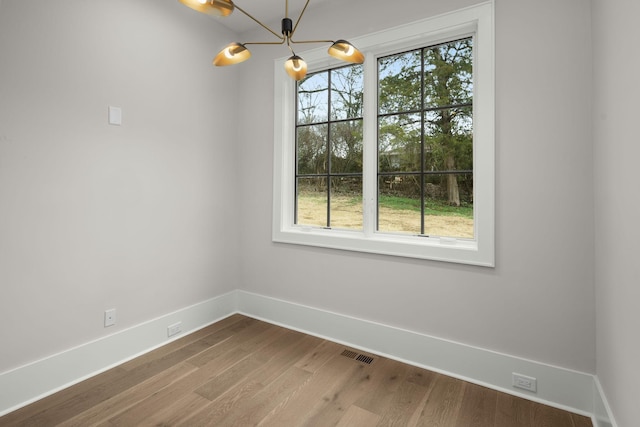 spare room featuring plenty of natural light and wood-type flooring