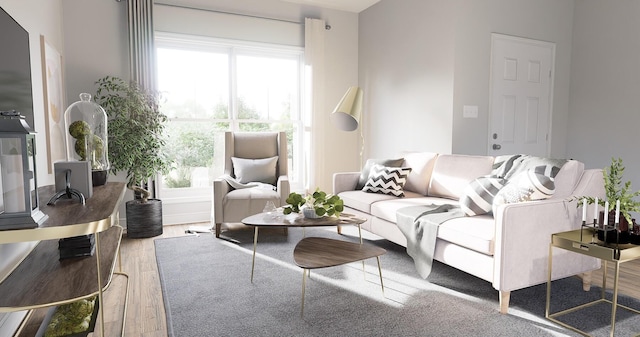 living room featuring hardwood / wood-style flooring